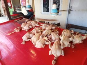 Harga Ayam Pedaging di Gorontalo Diperkirakan Mengalami Kenaikan Hingga Ramadhan