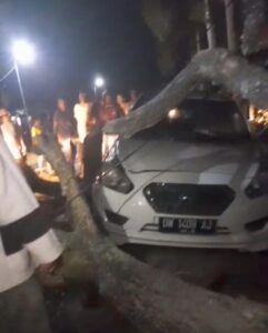 Mobil Tertimpa Pohon, Beruntung Tidak Ada Korban Jiwa