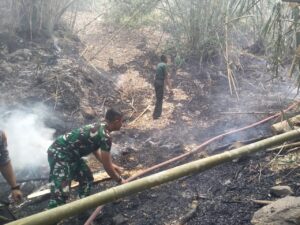 Perbukitan Lombongo Dilanda Kebakaran, Babinsa Turun Tangan