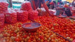 Harga Tomat Turun Drastis di Pertengahan Agustus