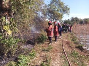 Pembakaran Sampah Picu Kebakaran Lahan di Telaga Jaya