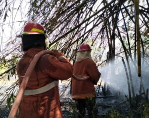 Kebakaran Lahan Kembali Terjadi di Tilango