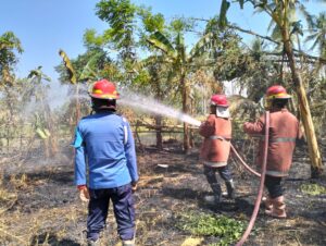 Kelalaian Warga Picu Kebakaran Lahan di Desa Limehe