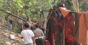 Polsek Tapa Bongkar Pabrik Penyulingan Cap Tikus