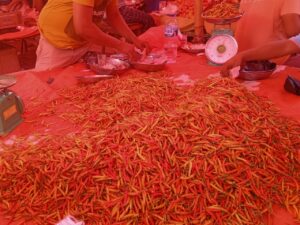 Akhir Pekan Oktober, Harga Cabai di Limboto Melambung Tinggi