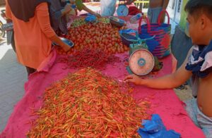 Minggu Ini Harga Cabai di Gorontalo Turun