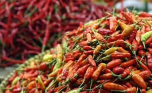 Harga Cabai 140 Ribu/Kg, Masyarakat Gorontalo Diimbau untuk Tidak Panik