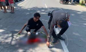 Jalan Trans di Gorontalo Rawan Kecelakaan, Tercatat 209 Kasus Selama 2023