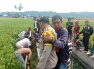 Akibat Serangan Jantung, Seorang Pria Ditemukan Meninggal Dunia di Sawah