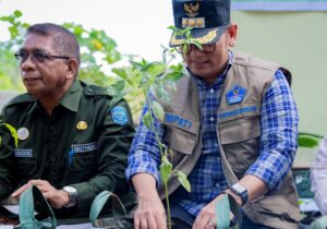 Pemda Buteng Bagikan Ribuan Bibit Cabai untuk Petani