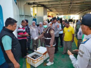 Petugas Amankan 60 Kilogram Tikus Siap Konsumsi di Pelabuhan Gorontalo