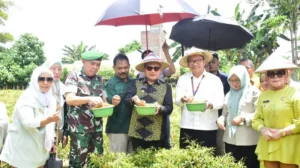Program Germas Matahari Berhasil Tekan Inflasi Cabai di Kota Gorontalo