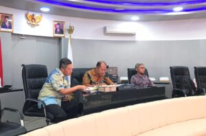 Menuju Pemerintahan Transparan, Sofian Ibrahim Ungkap Keunggulan SIA SPBE V2