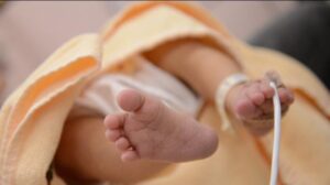 Gorontalo Digegerkan dengan Penemuan Bayi Laki-laki di Teras Rumah