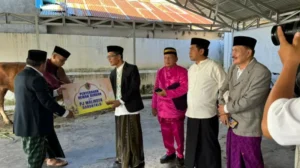 Jumlah Hewan Kurban di Gorontalo Tahun Ini Menurun
