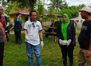 Sebanyak 3000 Ekor Hewan Qurban di Kabupaten Gorontalo Dipastikan Sehat