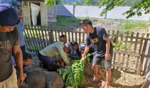KPU Gorut Berikan Daging Kurban untuk Warga Kurang Mampu