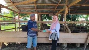 Dinas KPP Kota Gorontalo Lakukan Pemantauan Kesehatan Hewan Qurban Menjelang Idul Adha