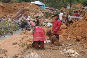 Pasukan Merah Polda Gorontalo Terlibat dalam Evakuasi Longsor di Tambang Suwawa