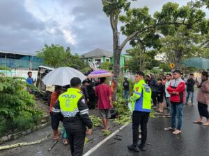 Akibat Pengaruh Alkohol, Mobil Pickup Alami Kecelakaan Tunggal di Gorontalo