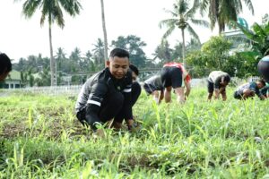 Korem 133/Nani Wartabone Tingkatkan Pengolahan Kebun Jagung untuk Ketahanan Pangan