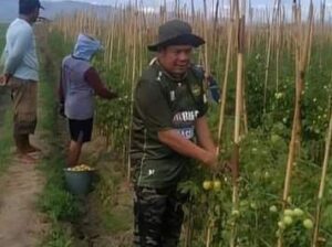 DEWA Utamakan Program Peningkatan Kesejahteraan Petani