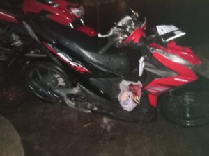 Pohon Tumbang di Limboto, Mahasiswa IAIN Jadi Korban