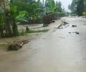 Rumah dan Lahan Pertanian di Molowahu Terendam Akibat Banjir
