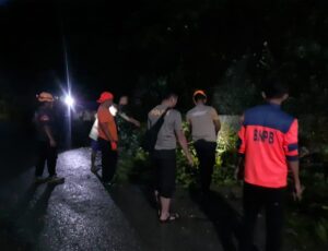 Pohon Tumbang di Kota Gorontalo Menutupi Ruas Jalan Dumbo Raya dan Botupingge