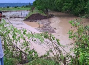 Akibat Tanggul Jebol, Puluhan Hektar Lahan Warga di Bongomeme Terendam