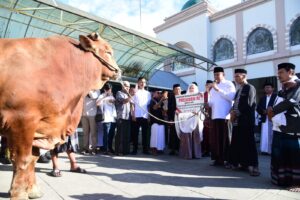 Presiden Prabowo Kirim Tujuh Sapi Kurban untuk Masyarakat Gorontalo