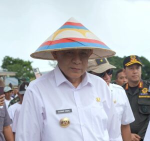 Hampir Capai Target, Serapan Gabah Jadi Sinyal Positif Ketahanan Pangan