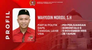 Wahyudin Moridu Janji Akan Temui Pendemo Untuk Minta Maaf, Sekaligus Pamit dari DPRD