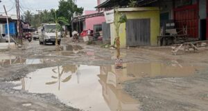 Ajaib, Pohon Pisang Tumbuh Subur di Jalan Rusak di Telaga