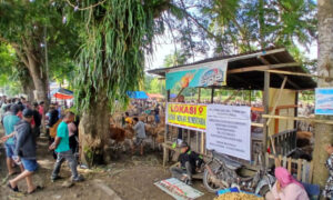 Pemkab Gorontalo Kembalikan Pasar Hewan Pulubala ke Lokasi Semula
