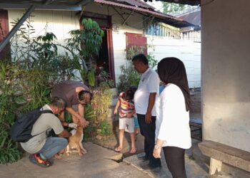 Dinas pertanian vaksin rabies