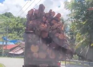 Perusahaan, Pemda & DPRD Gorontalo Utara, Jangan Sampai Darah Tumpah di Jalan Kita