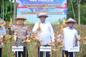 Gorontalo Targetkan Luas Tanam Jagung Capai 190 Ribu Hektar pada 2026