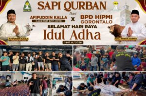 BPD HIPMI Gorontalo dan Afifuddin Kalla Berbagi di Idul Adha lewat Program “Sapi Qurban”