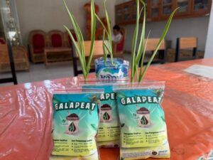 Dari Tumpukan Limbah ke Produk Jual, Mahasiswa UNG Sulap Sabut Kelapa Dunggala Jadi Cocopeat