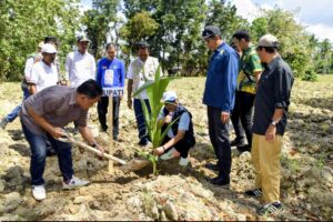 Bupati Gorontalo Sofyan Puhi Salurkan Ribuan Bibit Kelapa untuk Petani Mootilango