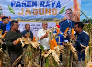 Zulkifli Hasan Tinjau Perkebunan Jagung di Pulubala, Apresiasi Harga Jagung Gorontalo
