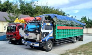 Truk ODOL Terancam Pidana 1 Tahun, Satlantas Gorontalo Ingatkan Pengusaha Angkutan