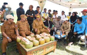 Sawah Baru 879 Hektar di Pohuwato Mulai Ditanami, Produksi Padi Ditarget Terus Naik