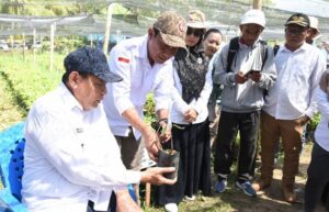 Program Hilirisasi Kakao, 1 Juta Bibit Siap Tanam di Boalemo