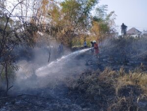 Karhutla Bone Pantai Meluas, Satgas Fokus Lindungi Permukiman Warga