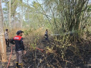 Satgas Karhutla Perkuat Penanganan Kebakaran di Bonepantai