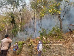 Akses Sulit, Pemadaman Karhutla Bone Pantai Dilakukan Manual