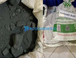 Penyelundupan 44 Ton Batu Hitam di Gorontalo, Aktor Besar Belum Tersentuh?